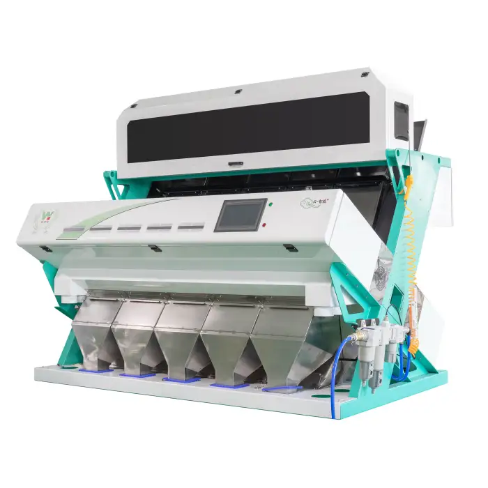 Raisin Dried grapes colour sorting machine/color sorter for grapes