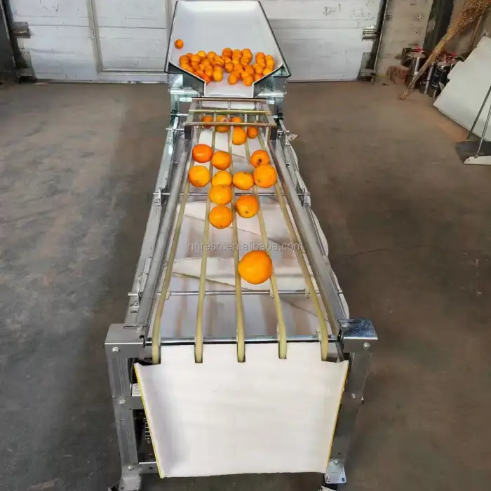 Stainless Steel plum Apricot Cherry Pear Date Selecting Machine Lychee Longan Grape Sorting Machine