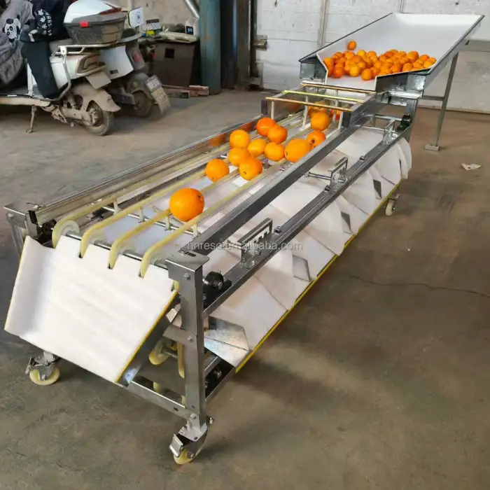 Stainless Steel plum Apricot Cherry Pear Date Selecting Machine Lychee Longan Grape Sorting Machine