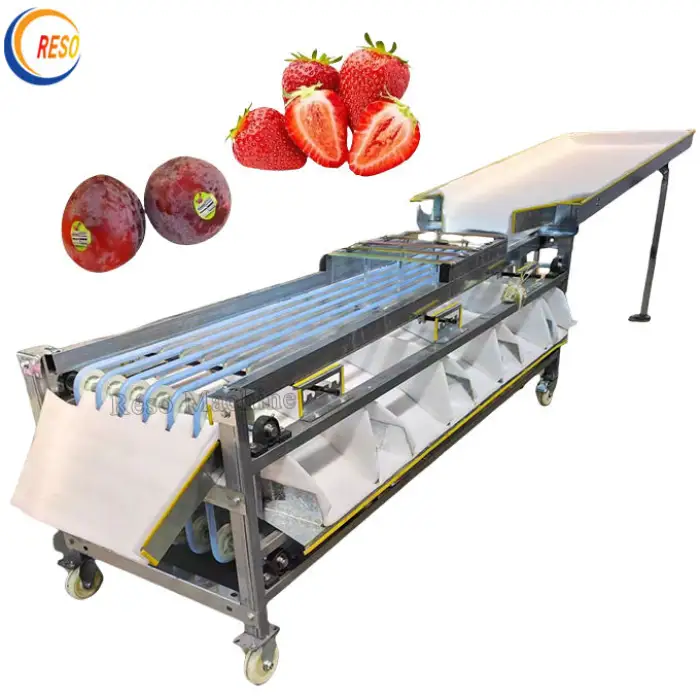 Stainless Steel plum Apricot Cherry Pear Date Selecting Machine Lychee Longan Grape Sorting Machine