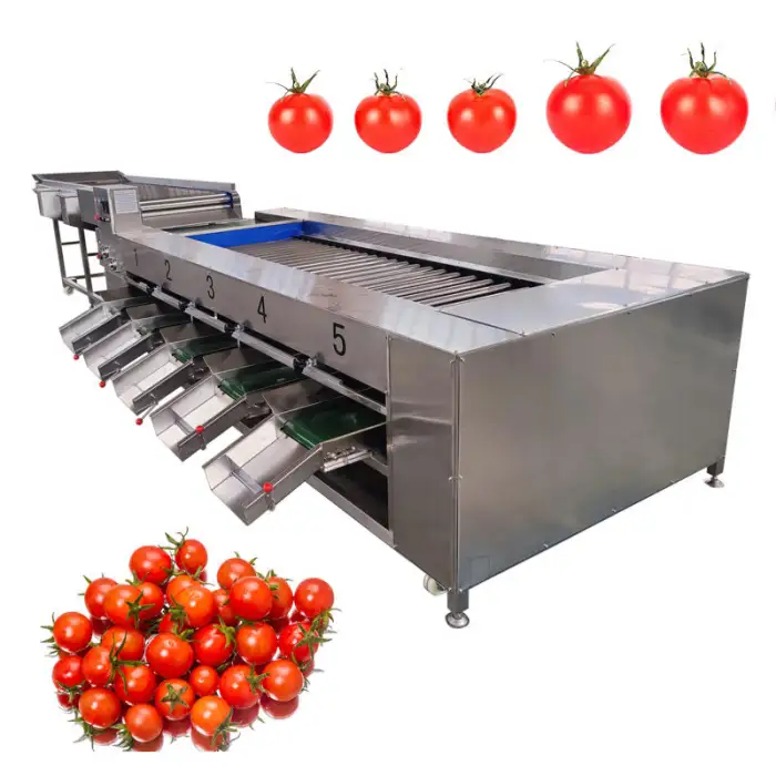 Fruit and vegetable Grape Cherries Onion Potato Size Sorting Machine