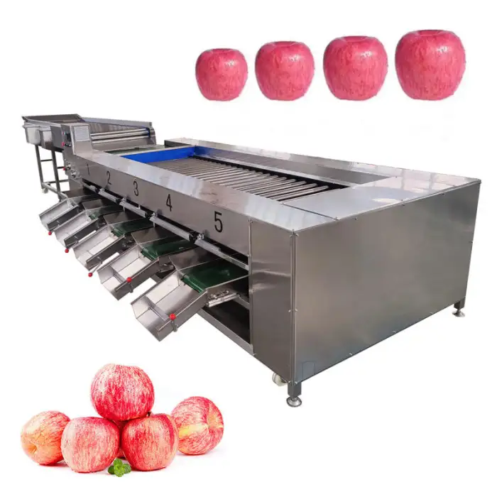 Fruit and vegetable Grape Cherries Onion Potato Size Sorting Machine