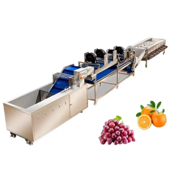 Dragon Fruit Sorting Equipment Cabbage Sorter Grader Grapefruit Sorting Machine Large Fruit Processing Equipment