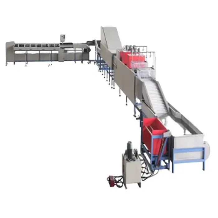 Dragon Fruit Sorting Equipment Cabbage Sorter Grader Grapefruit Sorting Machine Large Fruit Processing Equipment