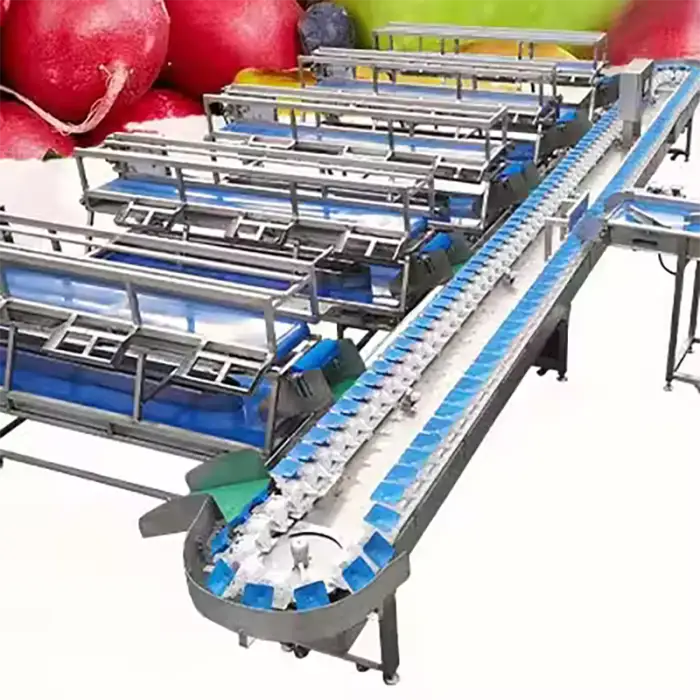 Dragon Fruit Sorting Equipment Cabbage Sorter Grader Grapefruit Sorting Machine Large Fruit Processing Equipment