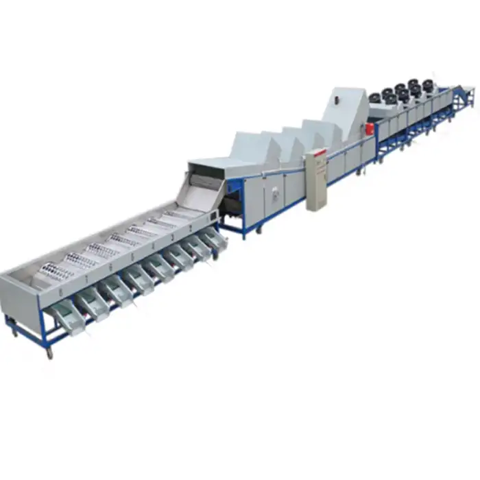 Dragon Fruit Sorting Equipment Cabbage Sorter Grader Grapefruit Sorting Machine Large Fruit Processing Equipment