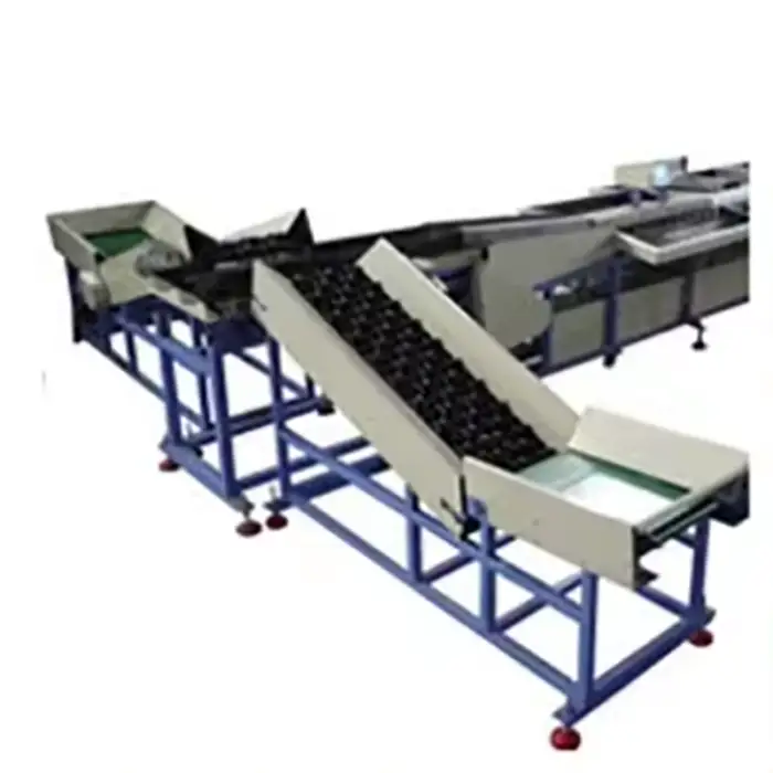 Dragon Fruit Sorting Equipment Cabbage Sorter Grader Grapefruit Sorting Machine Large Fruit Processing Equipment