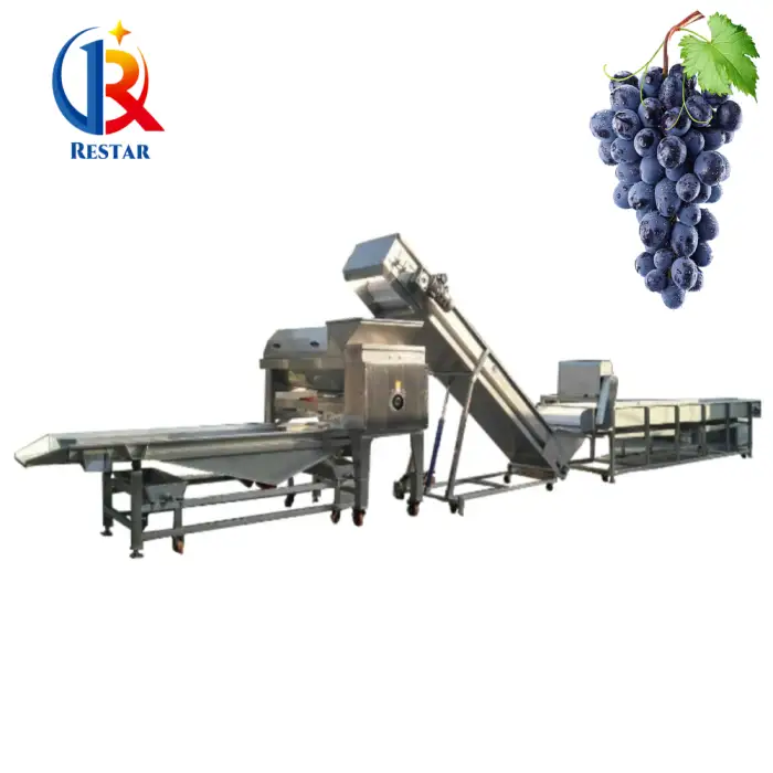 Large Commerical Scale Vibration Type Grape Stem Removing Machine With Screening And Roller Crushing Machine