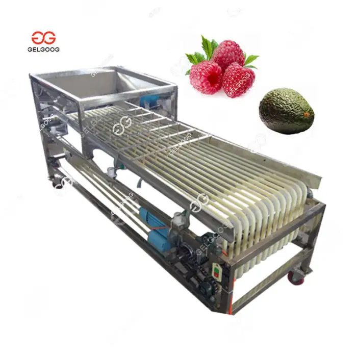 Electronic Sorter Of Fruits 5MtHr Grape Sorting Machine Fruit Packing Conveyor Kiwi Berry Machine Sorter