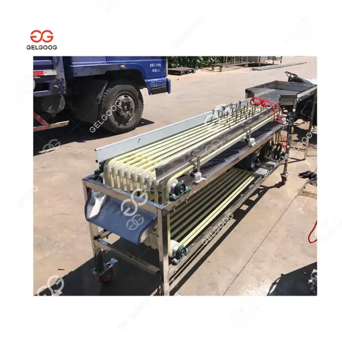 Electronic Sorter Of Fruits 5MtHr Grape Sorting Machine Fruit Packing Conveyor Kiwi Berry Machine Sorter