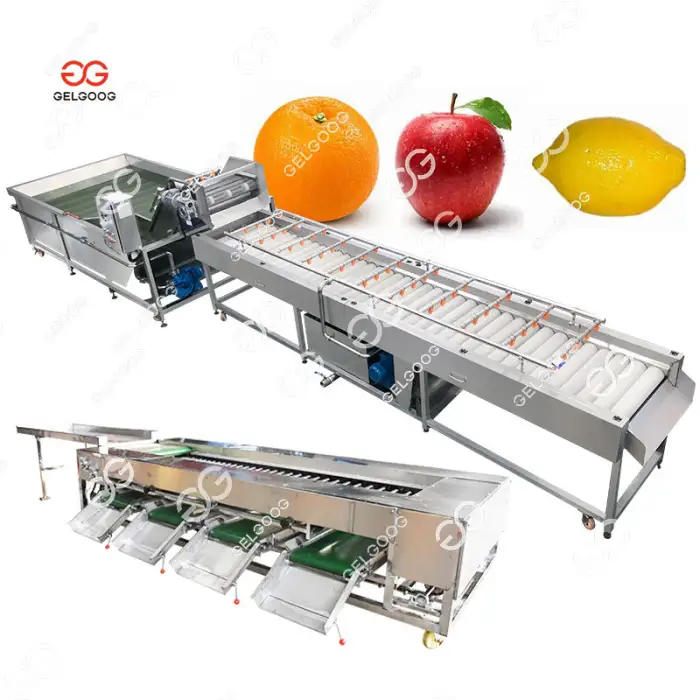 Fruit Cleaner Automatic Apple Washing Sorting And Grading Machine Fruit Washing For Apple Pear Grape Jujube Machine