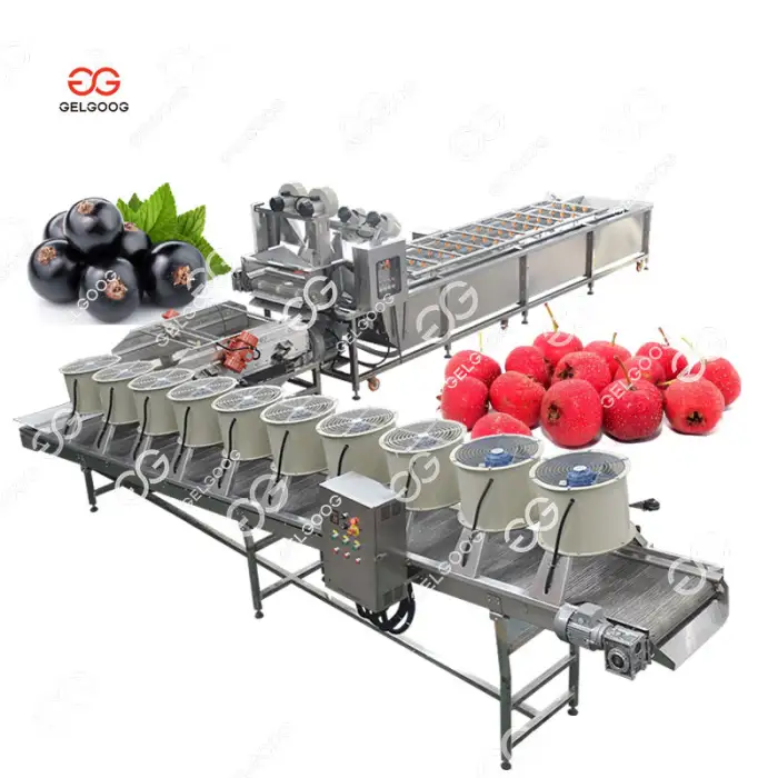 Fruit Cleaner Automatic Apple Washing Sorting And Grading Machine Fruit Washing For Apple Pear Grape Jujube Machine