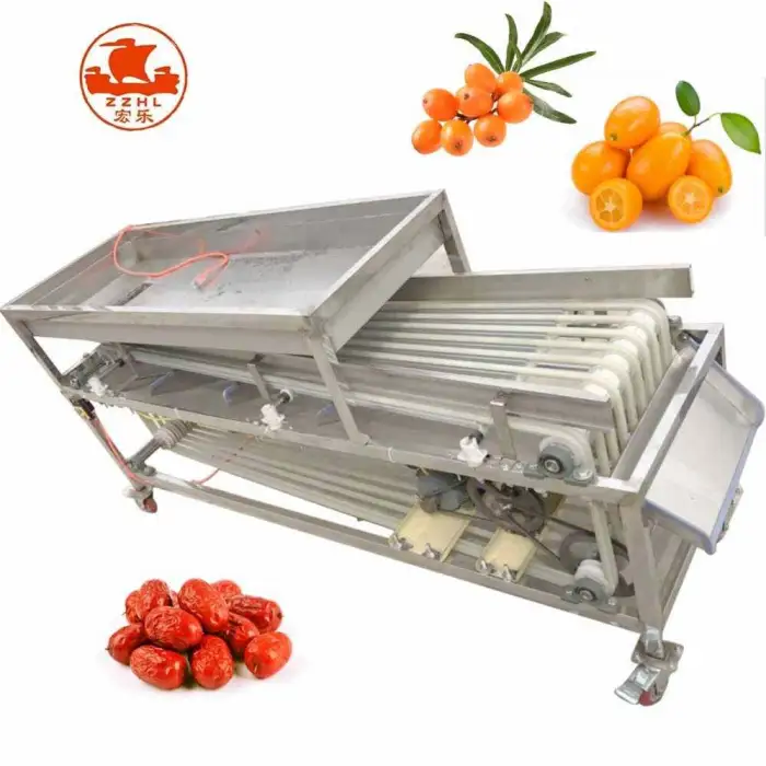 Automated Date Size Sort Conveyor System Passion Fruit Grape Tomato Potato Sorting Machine Sorter Machine