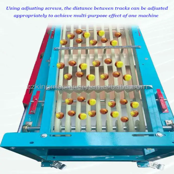 Winter Jujube Dates Red Palm Dates Grading Machine Grape Fruit Size Classifier Sorting Machine