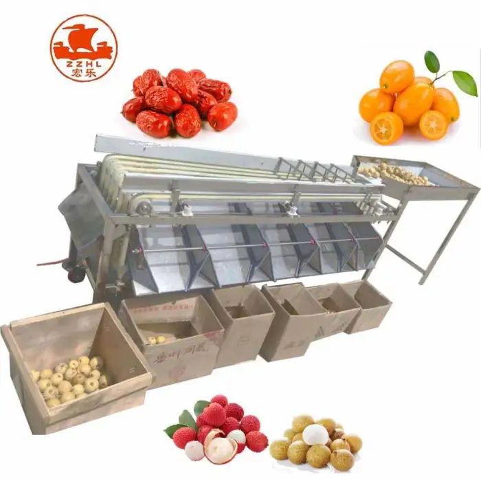 Automated Date Size Sort Conveyor System Passion Fruit Grape Tomato Potato Sorting Machine Sorter Machine