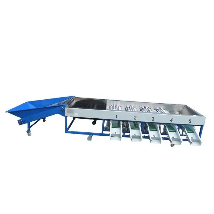 5T/H High Efficiency Date Palm/Olive Grading Machine/Citrus Grapefruit Size Washing Drying Waxing Sorting Processing Equipment