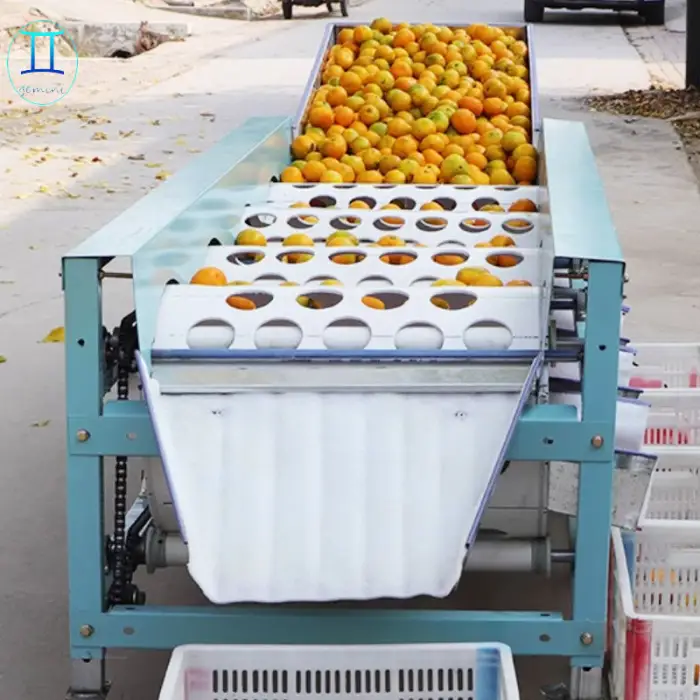 Industrial Fruits Vegetable Cherry Ome Sorter Kiwi Grape Strawberries Sorting Machine by Size /Weight