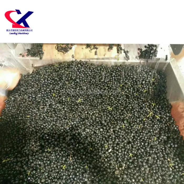 Screening Machine Easy Operation Sorting Machine to Make Grape Juice