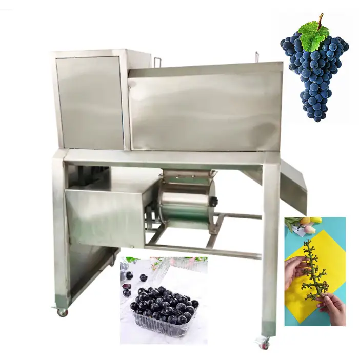 Large Grape Destemming Machine, Grape Threshing Machine Grape Crushing Separator