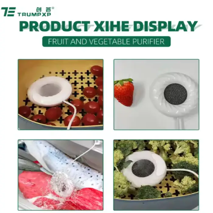 Fruit Vegetable Sterilizer Cleaner Machine Ozone Vegetable Cleaner Washer