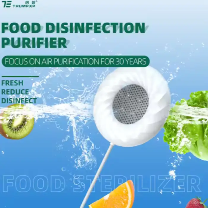 Portable Ultrasonic Food Cleaner USB Fruit Vegetable Washing Machine Food Purifier Cleaning Device for Home