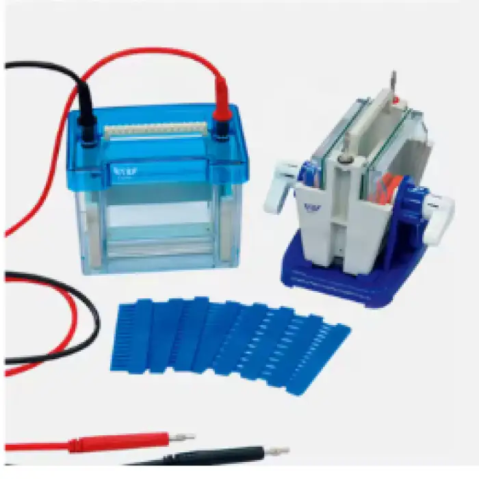 Electrophoresis DNA Testing Machine for Lab Research