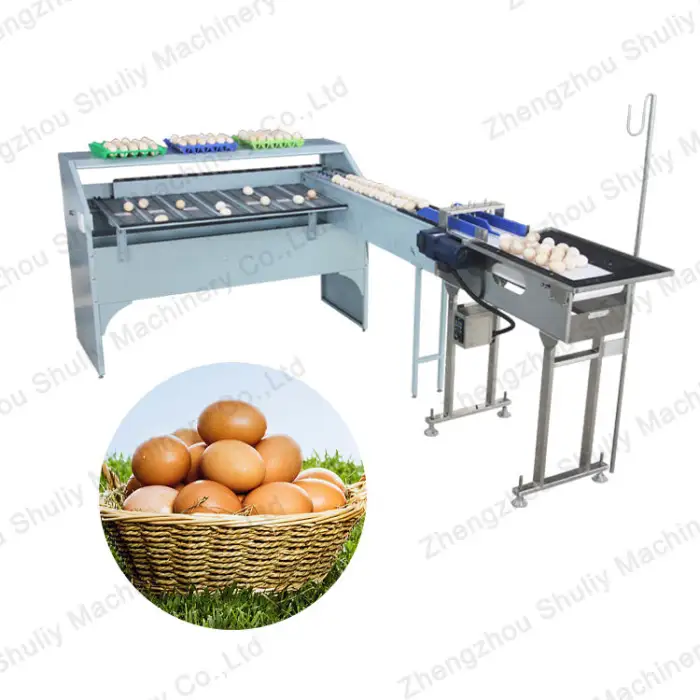 Industrial Egg Grading Machine Egg Sorter Sorting Machine