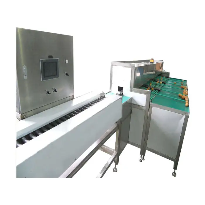 Egg Grading and Packing Machine / Egg Grading Machine Sorter / Egg Grading Machine