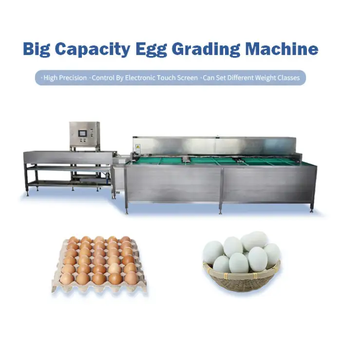 Egg Grading and Packing Machine / Egg Grading Machine Sorter / Egg Grading Machine