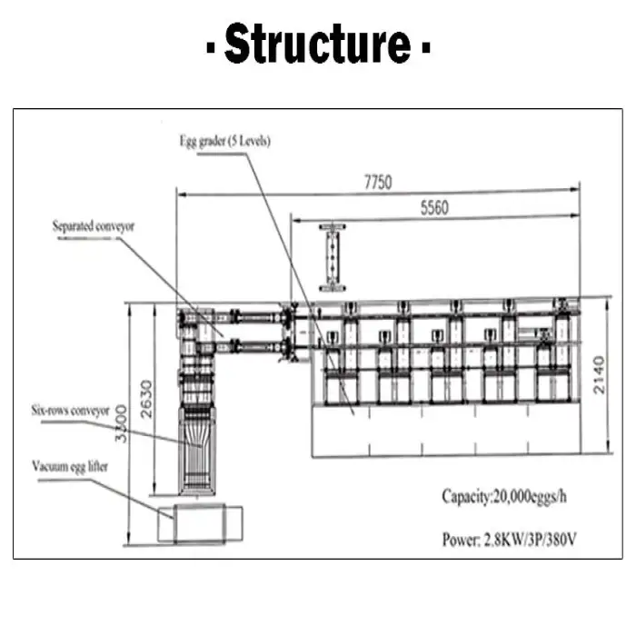 Egg Grading and Packing Machine / Egg Grading Machine Sorter / Egg Grading Machine