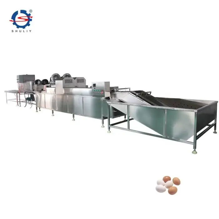 Automatic Duck Eggs Brush Cleaning Drying Sterilization Production Line Egg Processing Washing Machine