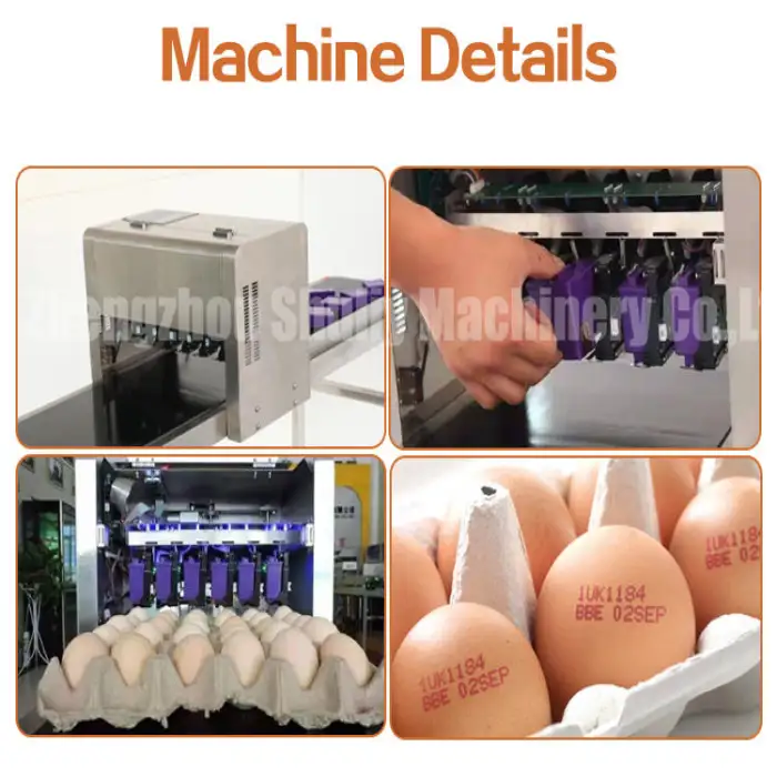 Automatic Egg Printing Machine / Printer for Egg