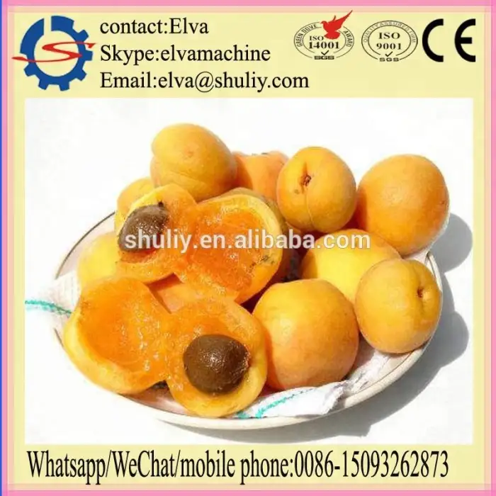 Almond Nut Shelling Machine Green Almond Peeling Machine