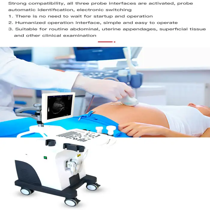 Veterinary B-Ultrasound Machine Ultrasound Scanner Portable Ultrasound Handheld