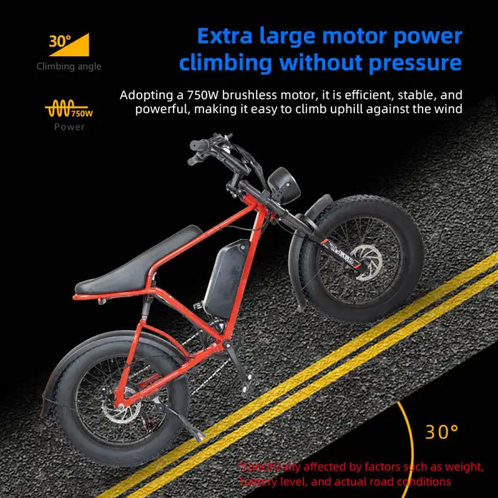 48V 29 Inch Battery Electric E-Bike 1000W Road Range Adult Big Fat Tire Mountain Bicycle with 20 Inch Wheel