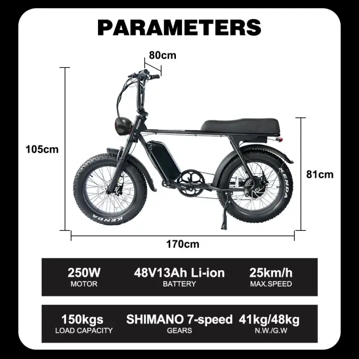 Bike Ready Stock Adults Electrically Mountain Ebike