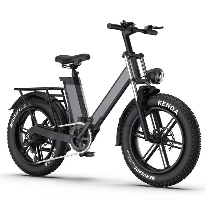 1000W 48V Rear Hub Motor 60KM/H Fast Speed Fat Tire Mountain Electric Dirt Hybrid Bicycle Ebike E Bike