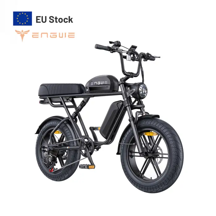 ENGWE M1 250W 48V Double Lithium Battery E-bike Dual Suspension Electric Mountain Bike 20 Inch OEM City Bicycle