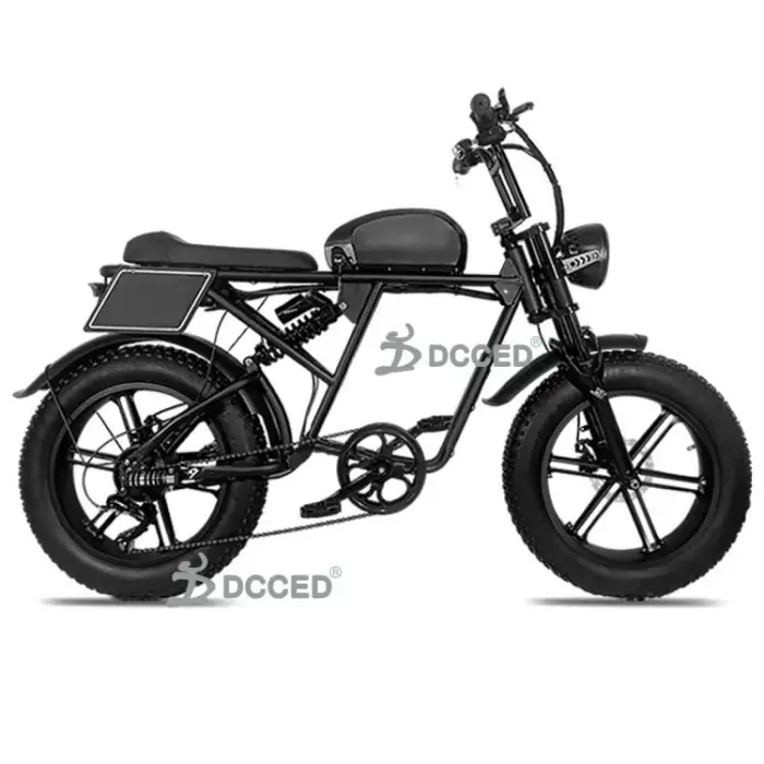 lectric Bicycle 500w Electric Mountain Bike E-bike Electric Bike New Design Electric