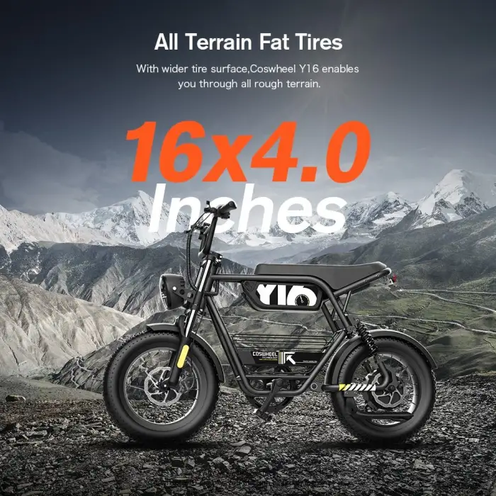 Electric Hybrid Bike Cheap Fast Electric Bike Fat Tire Mountain Bicycle