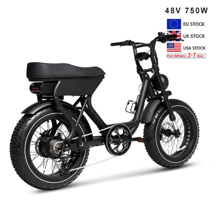 V20 1000w Electric Mountain Bike 20inch Dirt Fat Tire E-bike 250w City Ebike Adult Electric Bicycle Fatbike