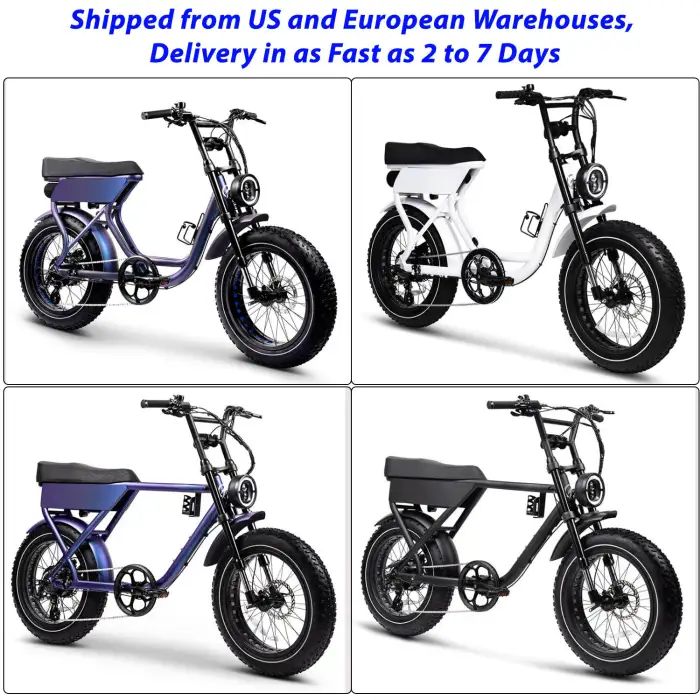 V20 1000w Electric Mountain Bike 20inch Dirt Fat Tire E-bike 250w City Ebike Adult Electric Bicycle Fatbike