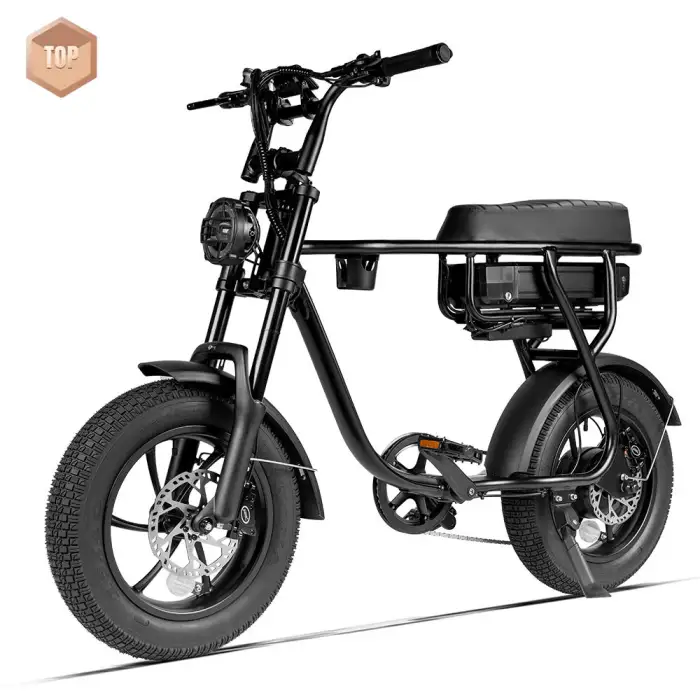 7GO New 48v 750w Retro E-Bike Electric Cycle Road Dirt Fat Tire E Bike Fast Ebike Electric Mountain Bike