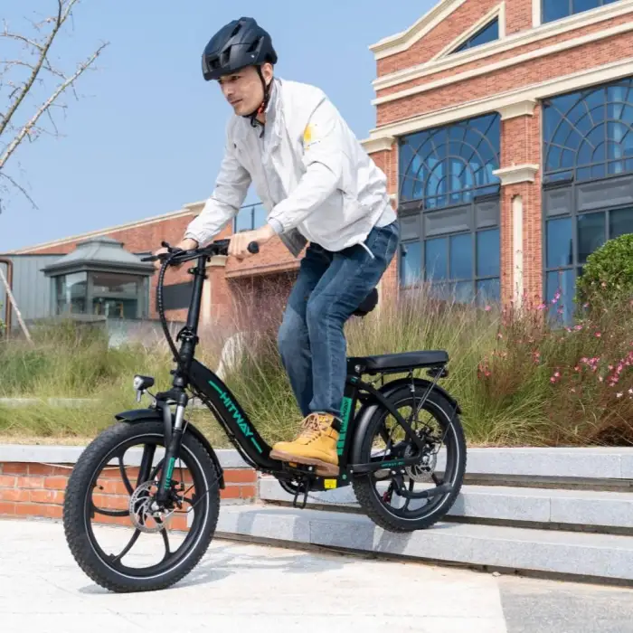 20'' 36V 12Ah Foldable Fat Tire Electric Bike 250W, All-Terrain Moutian E-Bike for Adults