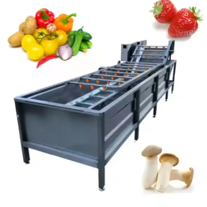 Multi-functional Agricultural Equipment Small Food and Vegetable Cleaning Machine Sorting Machine