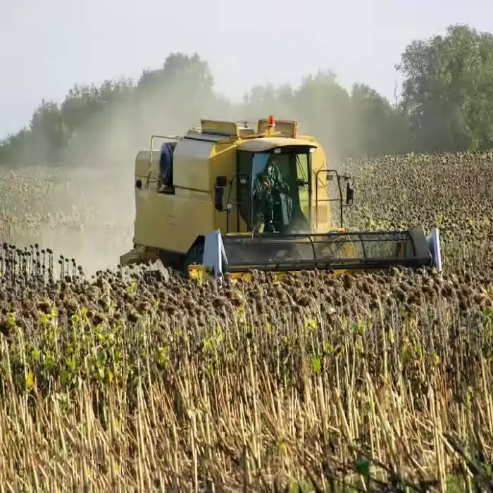 GF28 Self-Propelled Combine Harvester , High-Performance Harvesting With 4200mm Width