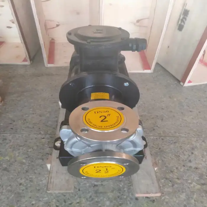 Customized Magnetic Pump Stainless Steel Plastic Electric 75kw Power Source Centrifugal High Pressure Food Industry