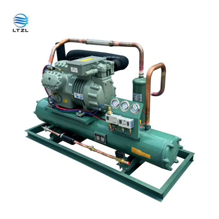 Cold Storage Industrial Refrigeration Unit 380V Bitzer Piston Compressor Bitzer Condensing Unit Refrigerated Container