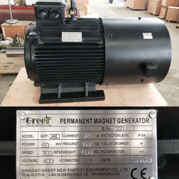 Electric Generator 20KW 300RPM 100KW Permanent Magnet Generator Motor