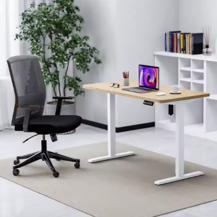 Single Motor Desk Sit and Standing up Computer Lift Tables White Frame Adjustable Height